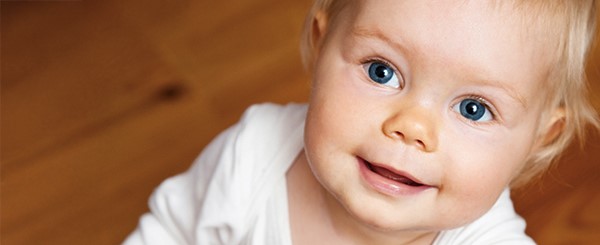 Couverture de la revue Sans pépins, volume 27, numéro 3, décembre 2025 (Extrait)